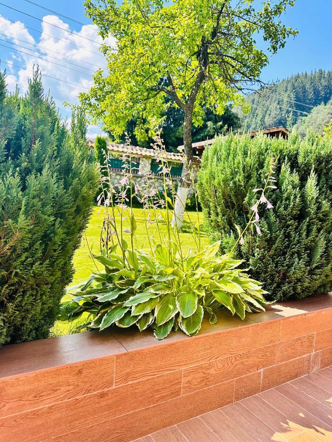 Villa Rila Garden Beli Iskar Exterior foto